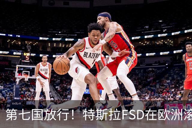 第七国放行！特斯拉FSD在欧洲滚起雪球，捷克车主等来v14